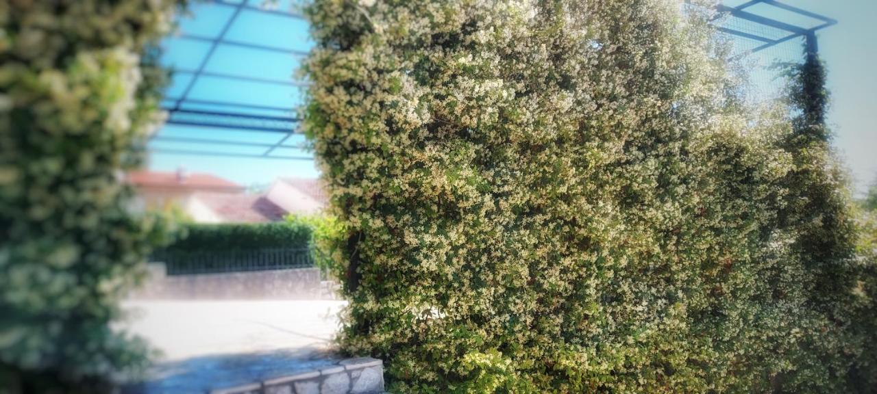 Apartmani Tomislav Krk Town Bagian luar foto